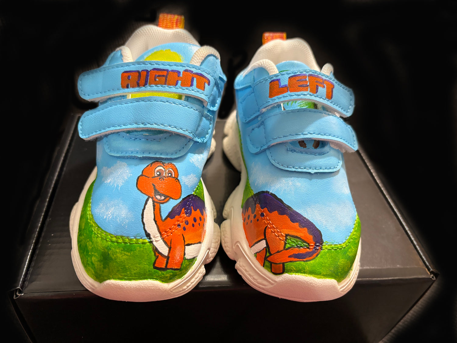 Custom Hand Painted Shoes