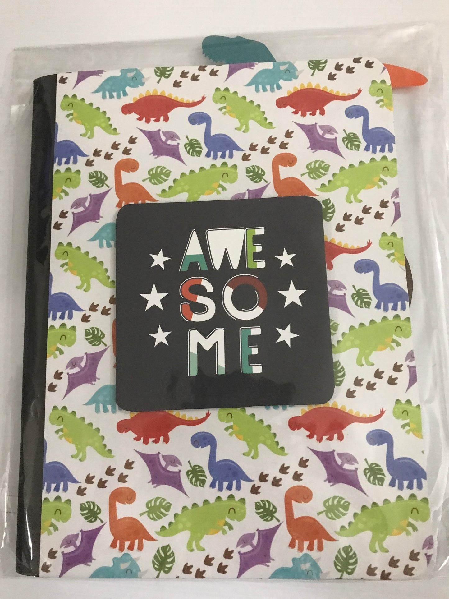 Dinasaur Notebook/Journal